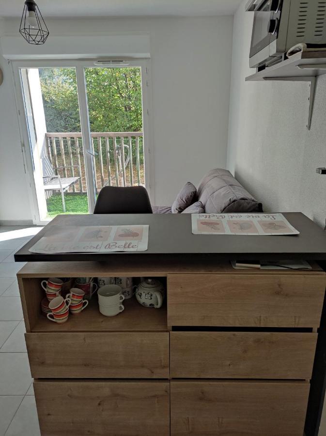 Superbe Appartement En Rez-De-Jardin A Lanton Exteriör bild